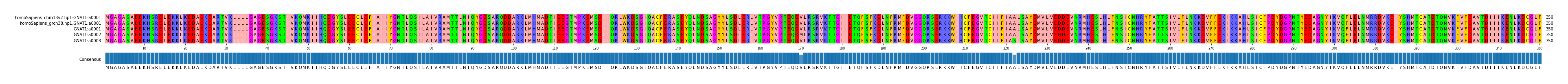 Multiple Alignments (by translate haplotype frequency)