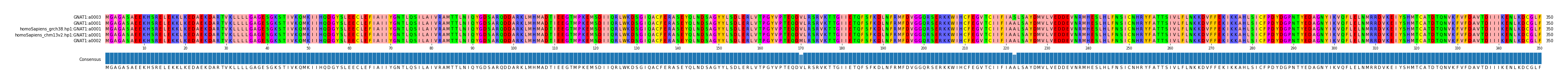 Multiple Alignments (by translate haplotype similarity)