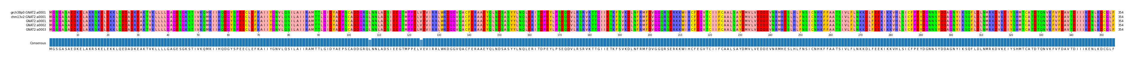 Multiple Alignments (by translate haplotype frequency)