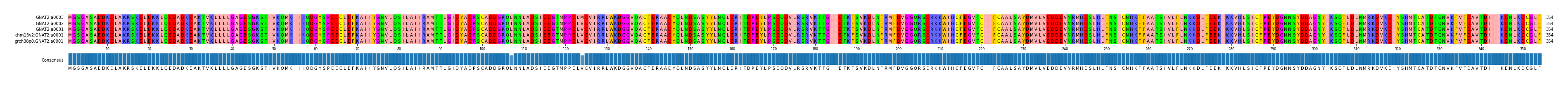 Multiple Alignments (by translate haplotype similarity)