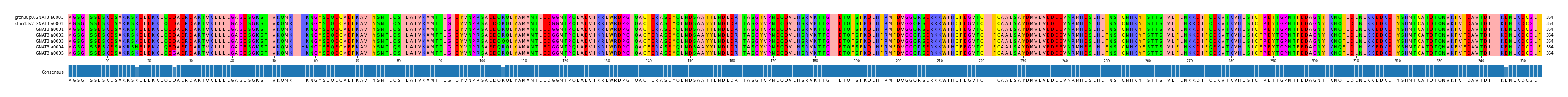 Multiple Alignments (by translate haplotype frequency)