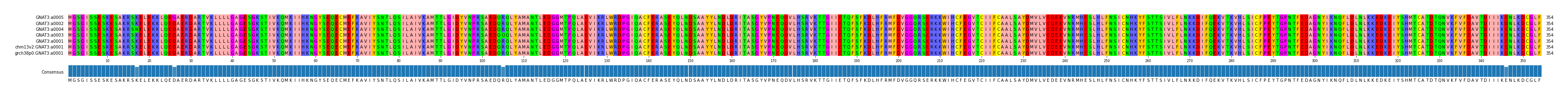 Multiple Alignments (by translate haplotype similarity)