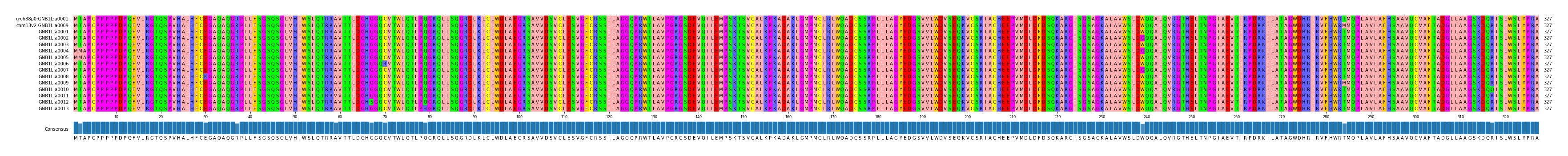 Multiple Alignments (by translate haplotype frequency)