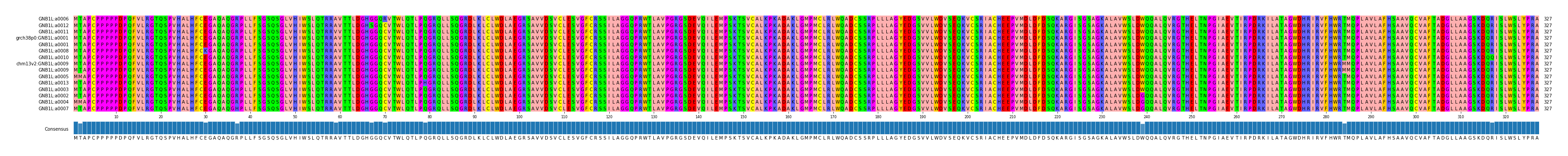 Multiple Alignments (by translate haplotype similarity)