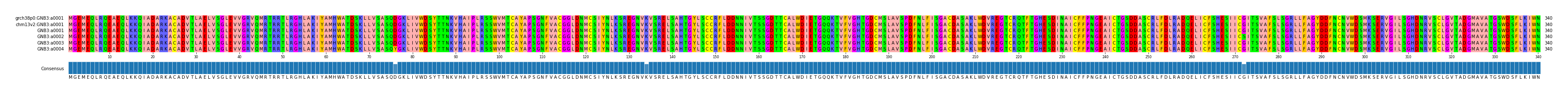 Multiple Alignments (by translate haplotype frequency)