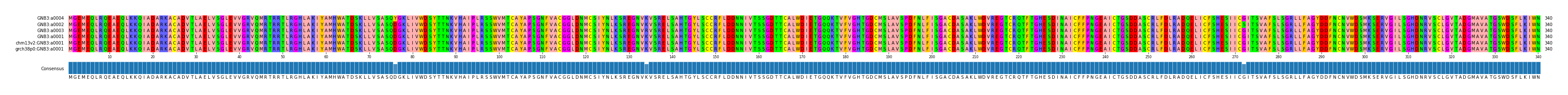 Multiple Alignments (by translate haplotype similarity)