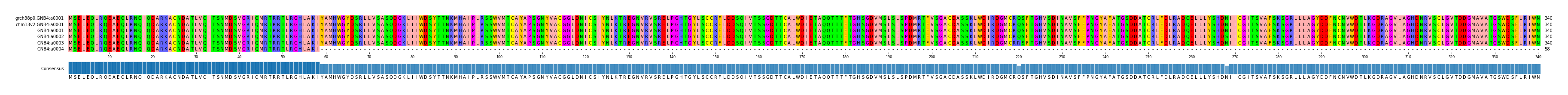 Multiple Alignments (by translate haplotype frequency)