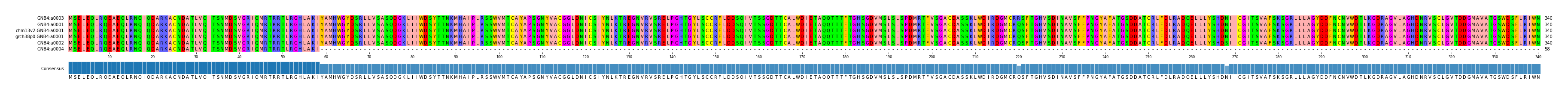 Multiple Alignments (by translate haplotype similarity)
