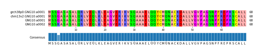 Multiple Alignments (by translate haplotype similarity)