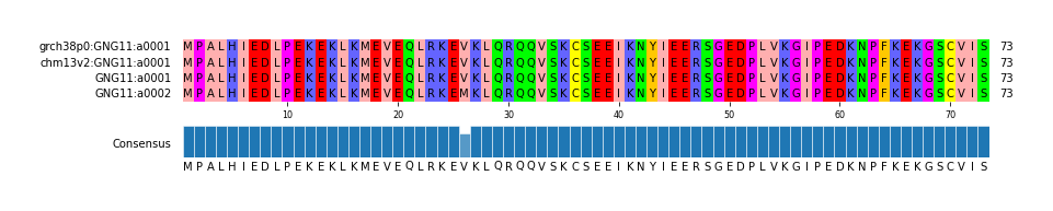 Multiple Alignments (by translate haplotype similarity)