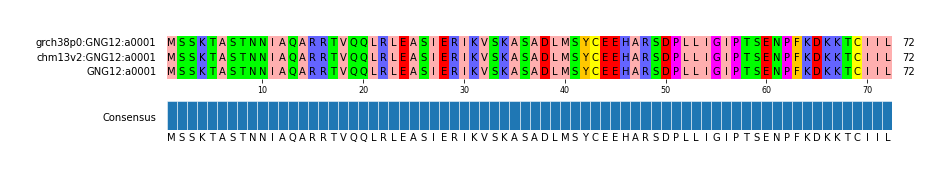 Multiple Alignments (by translate haplotype similarity)