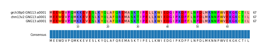 Multiple Alignments (by translate haplotype similarity)