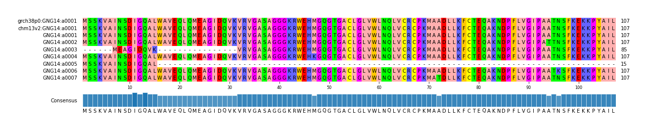 Multiple Alignments (by translate haplotype frequency)