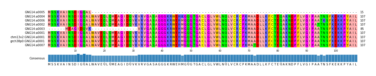 Multiple Alignments (by translate haplotype similarity)
