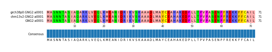 Multiple Alignments (by translate haplotype similarity)