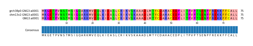Multiple Alignments (by translate haplotype frequency)