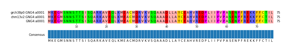 Multiple Alignments (by translate haplotype similarity)