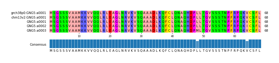 Multiple Alignments (by translate haplotype frequency)