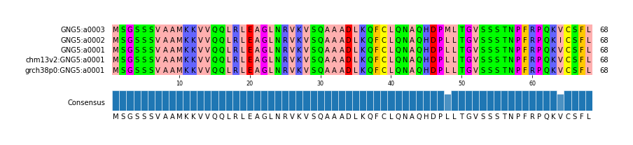 Multiple Alignments (by translate haplotype similarity)