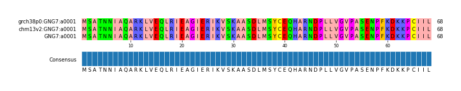 Multiple Alignments (by translate haplotype similarity)
