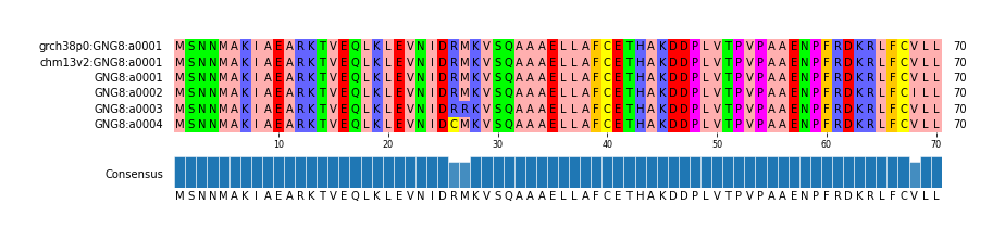 Multiple Alignments (by translate haplotype frequency)