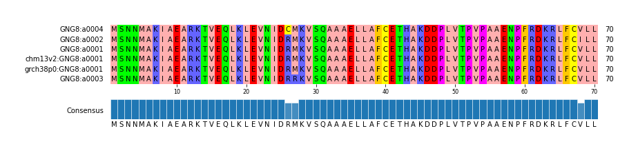 Multiple Alignments (by translate haplotype similarity)