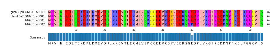 Multiple Alignments (by translate haplotype similarity)