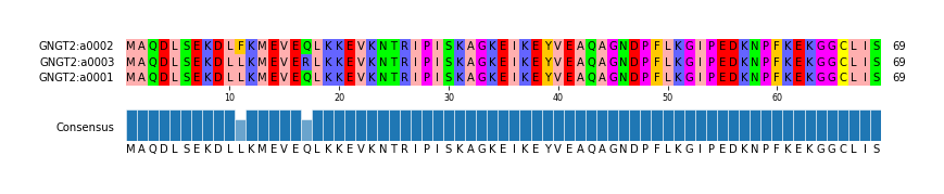 Multiple Alignments (by translate haplotype similarity)