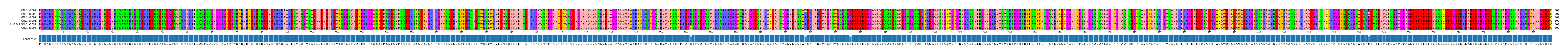 Multiple Alignments (by translate haplotype similarity)
