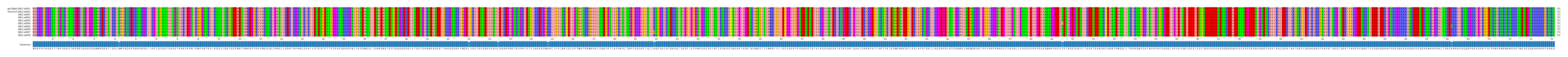 Multiple Alignments (by translate haplotype frequency)