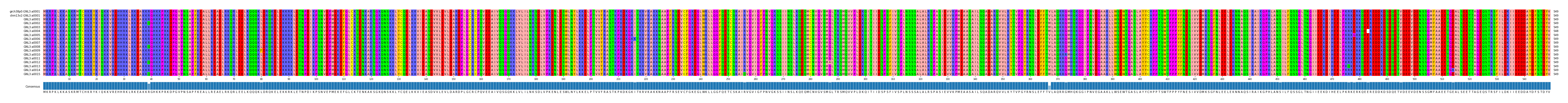 Multiple Alignments (by translate haplotype frequency)