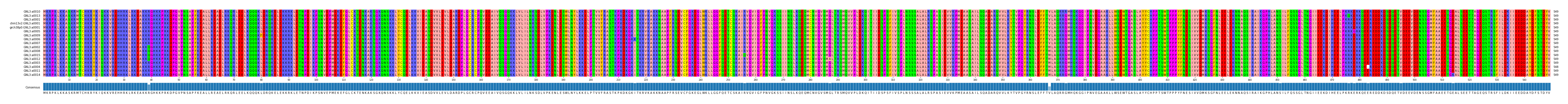 Multiple Alignments (by translate haplotype similarity)