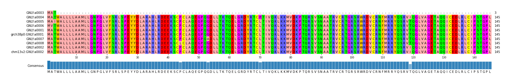 Multiple Alignments (by translate haplotype similarity)