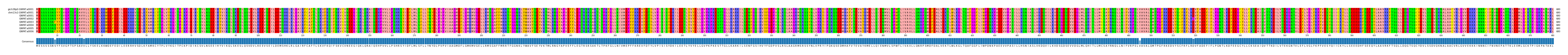 Multiple Alignments (by translate haplotype frequency)
