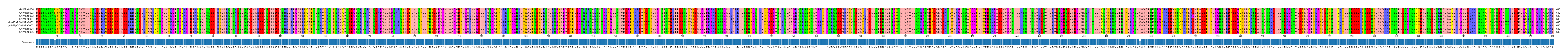 Multiple Alignments (by translate haplotype similarity)