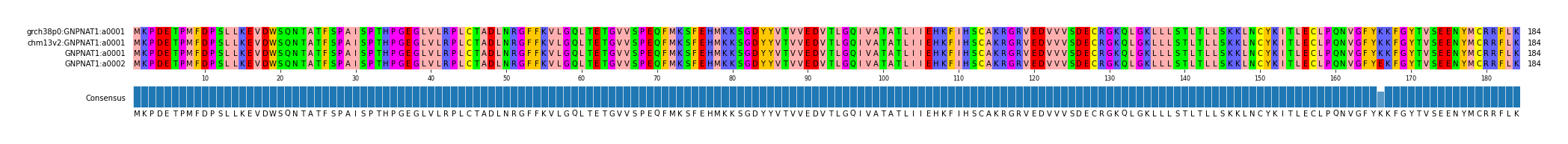 Multiple Alignments (by translate haplotype similarity)