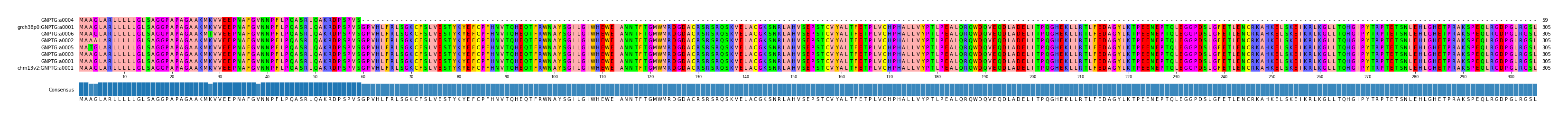 Multiple Alignments (by translate haplotype similarity)