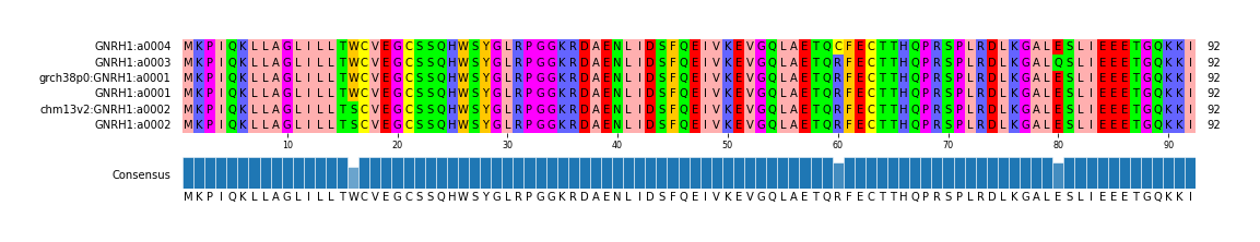 Multiple Alignments (by translate haplotype similarity)