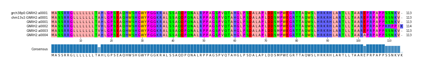 Multiple Alignments (by translate haplotype frequency)
