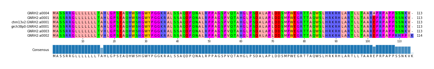 Multiple Alignments (by translate haplotype similarity)