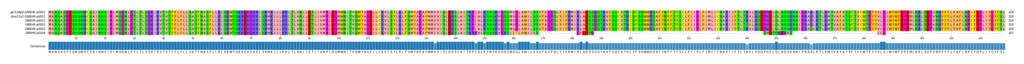 Multiple Alignments (by translate haplotype frequency)