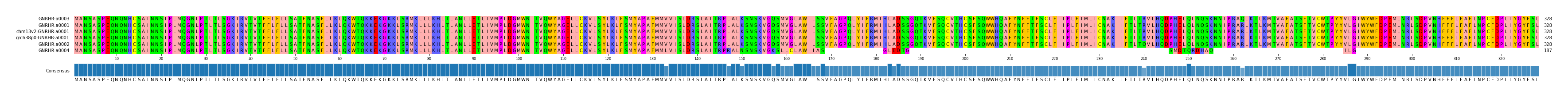 Multiple Alignments (by translate haplotype similarity)
