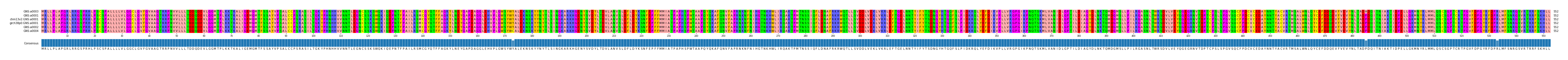 Multiple Alignments (by translate haplotype similarity)