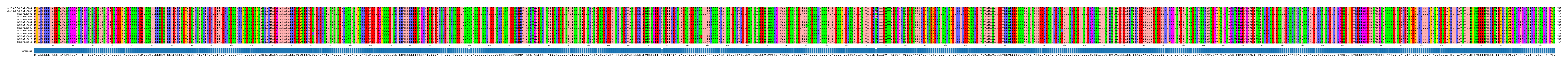 Multiple Alignments (by translate haplotype frequency)