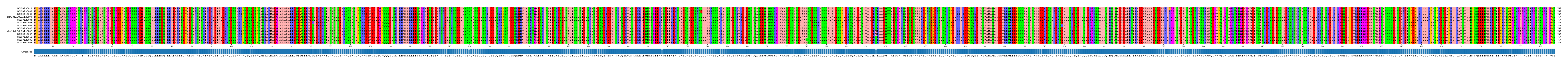Multiple Alignments (by translate haplotype similarity)