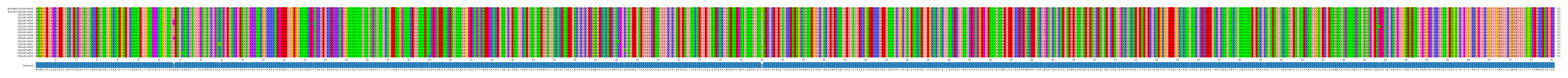 Multiple Alignments (by translate haplotype frequency)