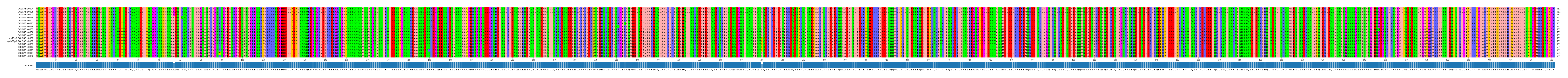 Multiple Alignments (by translate haplotype similarity)