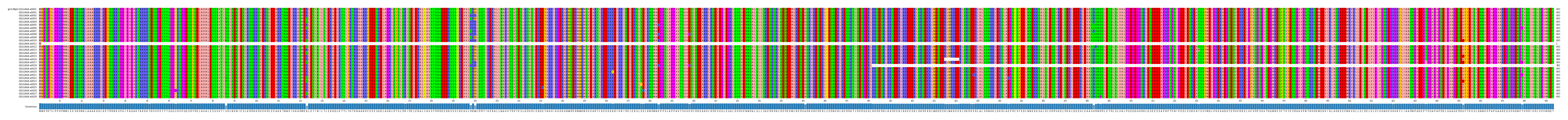 Multiple Alignments (by translate haplotype frequency)