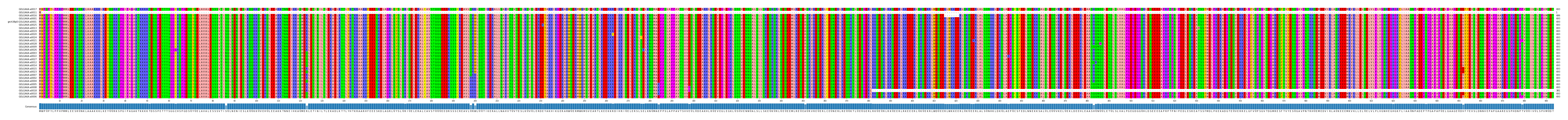 Multiple Alignments (by translate haplotype similarity)