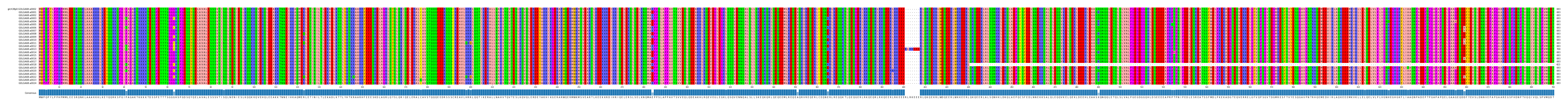 Multiple Alignments (by translate haplotype frequency)